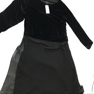 Eileen Fisher Velvet Top, Chiffon Bottom Dress